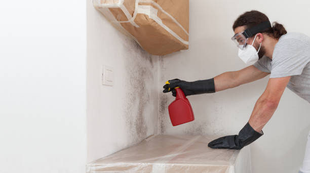 Professional Mold Inspection And Testing technician working in Ellsworth, MI